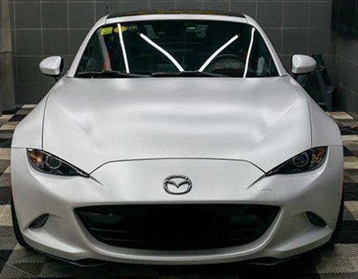 Pearl Gloss White Pearlescent X-W010